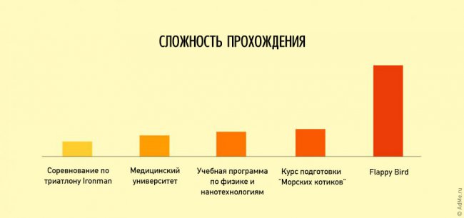 Правила жизни в забавных иллюстрациях