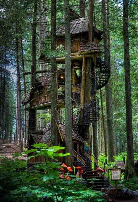 Идеальные дома на деревьях