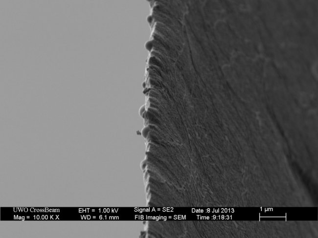 Как выглядят вещи под микроскопом