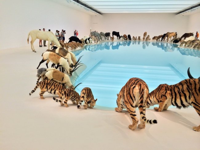 Современный художник Cai Guo-Qiang