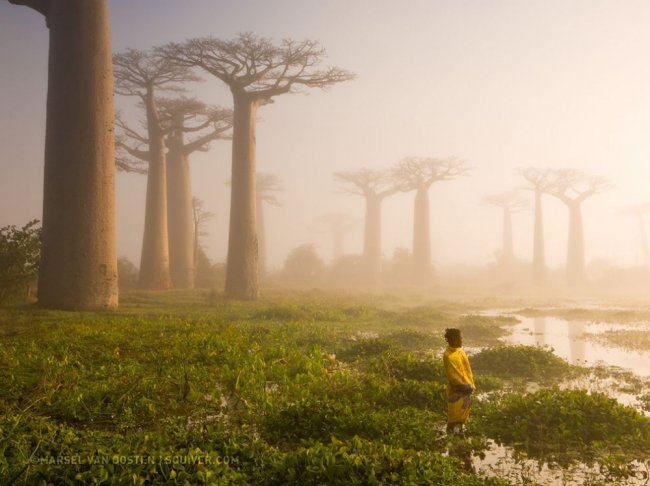 Лучшие снимки National Geographic 2015