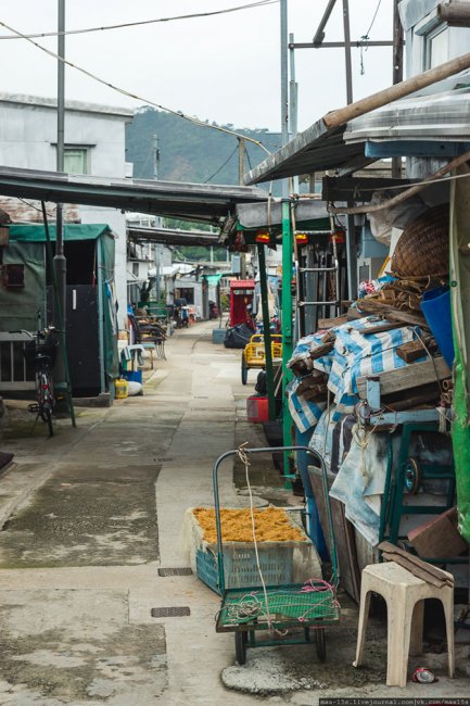Путешествие в Гонконг: деревня Тай О