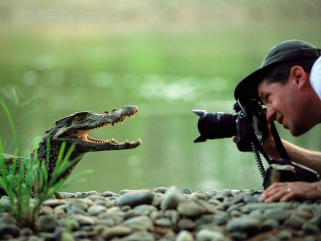 Прелести работы фотографом дикой природы
