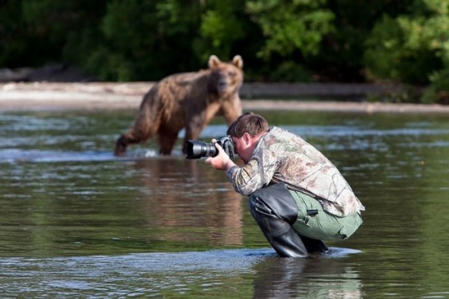 Прелести работы фотографом дикой природы