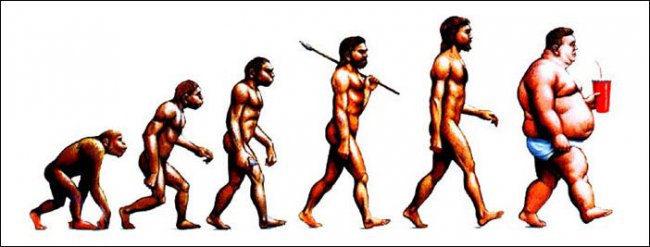 Примеры эволюции в картинках