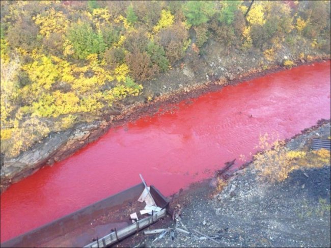 Красная река в Норильске возле завода «Надежда»