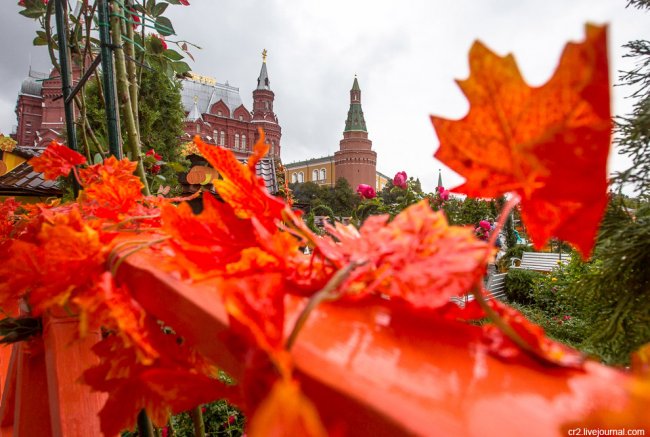 Фестиваль «Золотая осень» в Москве