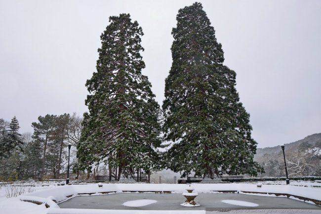 Массандровский дворец в снегу