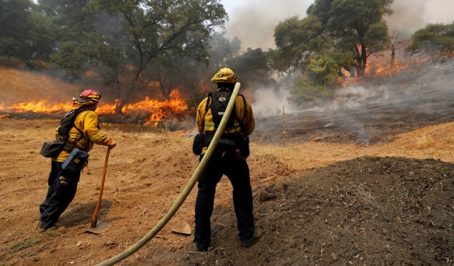 В Калифорнии объявлено чрезвычайное положение из-за лесных пожаров