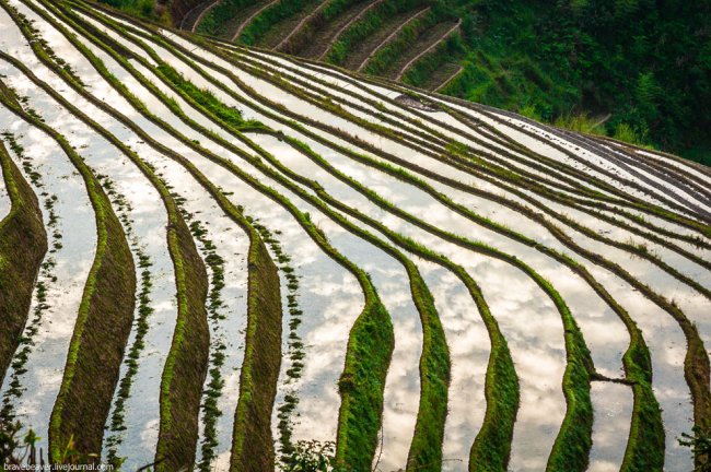 Рисовые террасы в Лонгшень