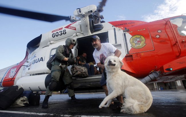 Спасение животных от урагана «Флоренс»