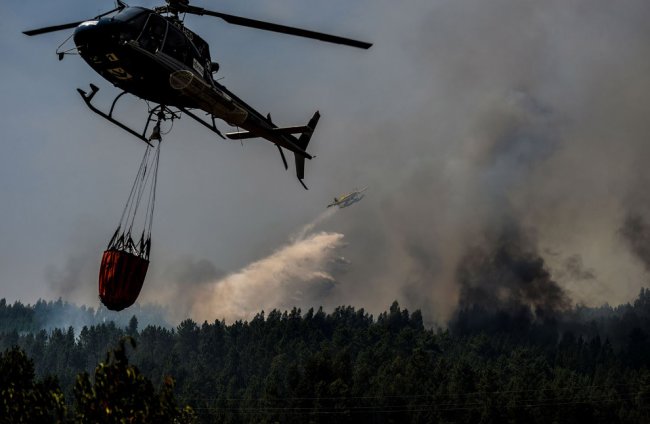 Как тушат лесные пожары в Португалии