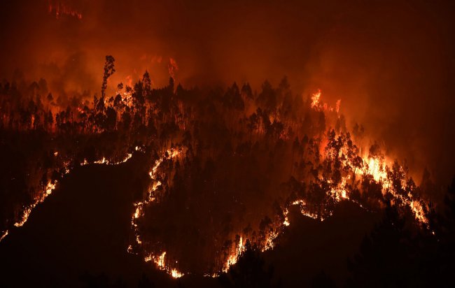 Лесные пожары в Красноярском крае. И не только