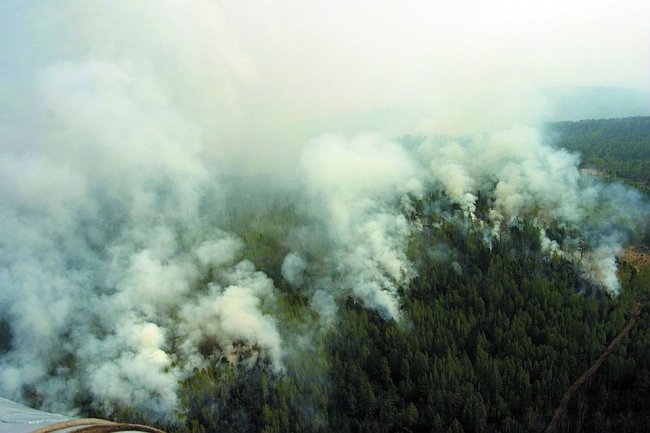 Лесные пожары в Красноярском крае. И не только
