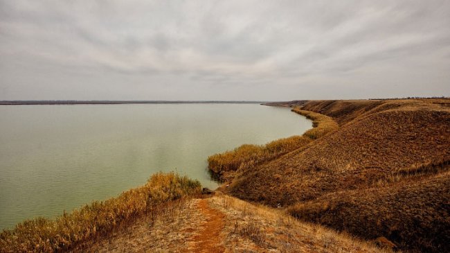 Дикая природа озера Кызыл-яр в Крыму