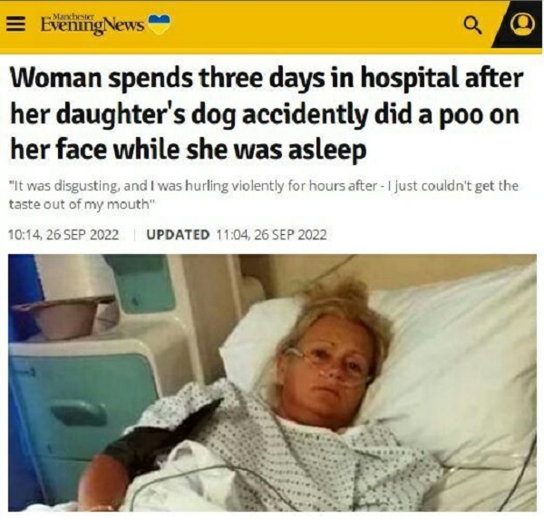 Женщину госпитализировали после того, как собака случайно наложило ей на лицо и в рот, когда та спала