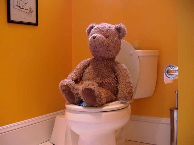 Как медведи ходят в туалет во время спячки