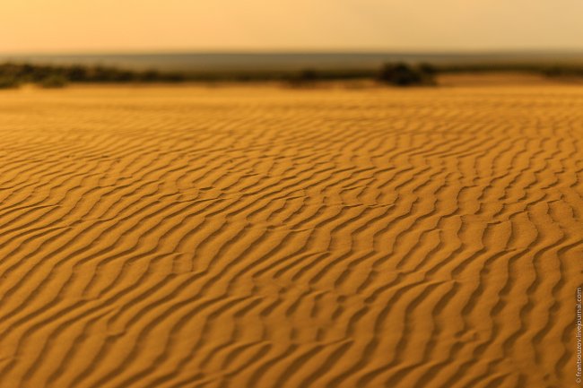 Аральское море. Занесённые песком
